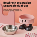 Elevated Stainless Steel Pet Bowls — No-Spill Food & Water Set