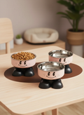 Elevated Stainless Steel Pet Bowls — No-Spill Food & Water Set